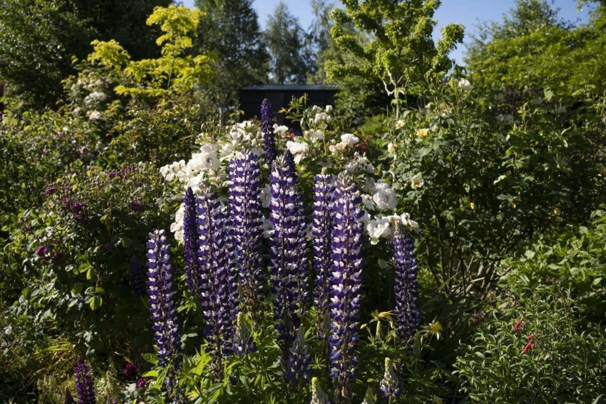 Tiny Away Benger Garden 2 By Tiny Away Villa Millers Flat Eksteriør billede