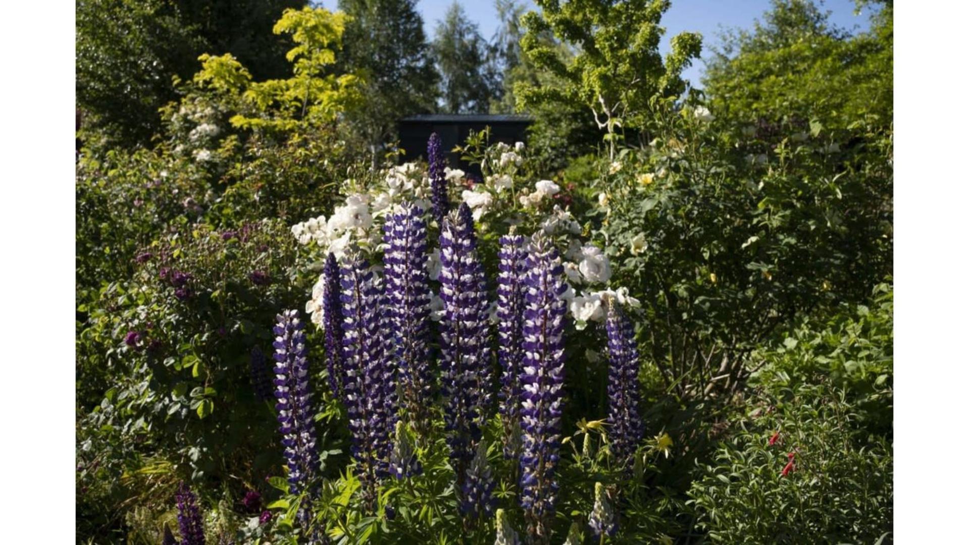 Tiny Away Benger Garden 2 By Tiny Away Villa Millers Flat Eksteriør billede